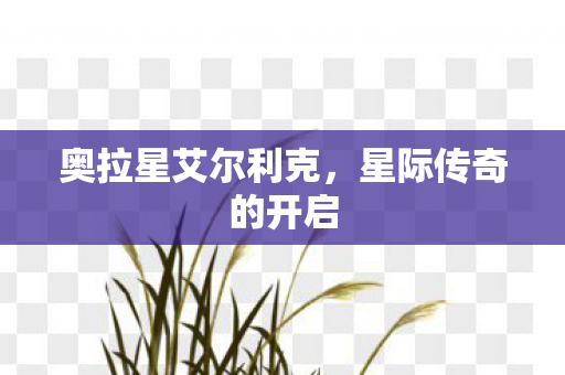 奥拉星艾尔利克图片