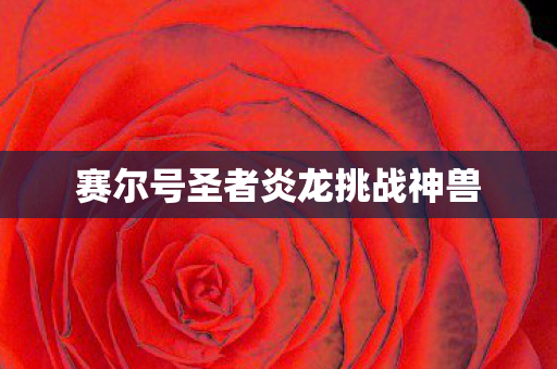赛尔号圣者炎龙挑战神兽图片