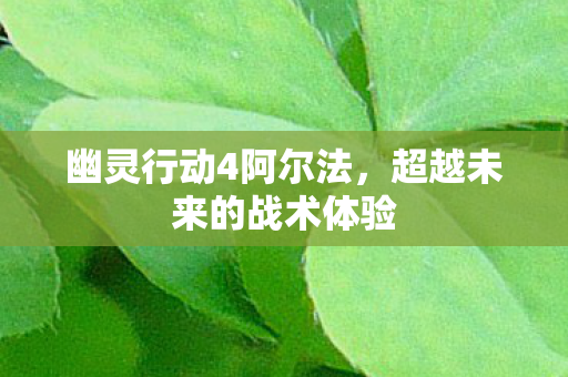 超越未来的战术体验图片