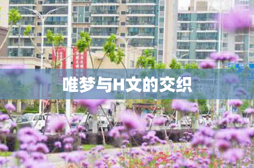 唯梦与H文的交织图片