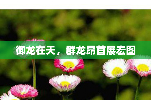 群龙昂首展宏图图片