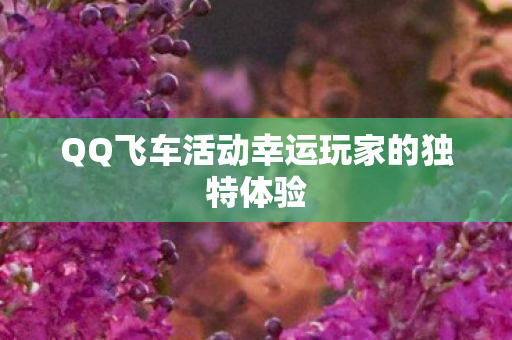 QQ飞车活动幸运玩家的独特体验图片