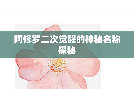 阿修罗二次觉醒的神秘名称探秘图片