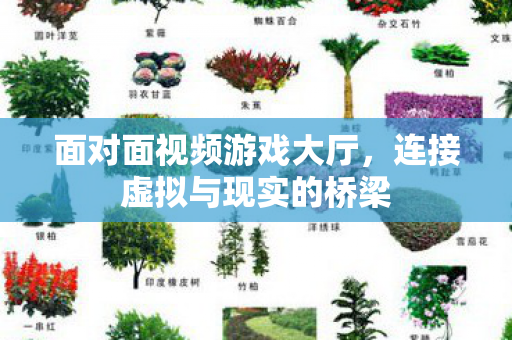 连接虚拟与现实的桥梁图片