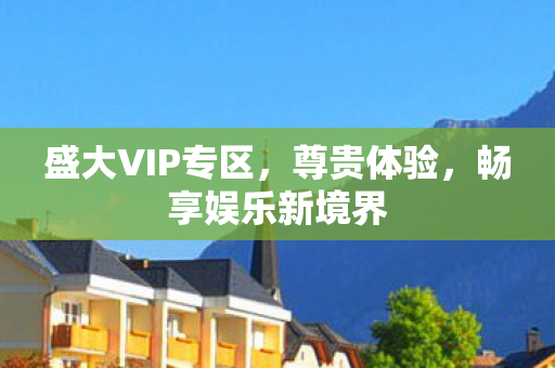 盛大VIP专区图片