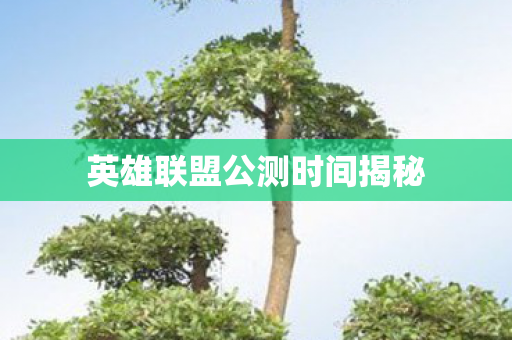 英雄联盟公测时间揭秘图片