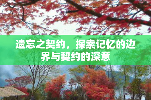 探索记忆的边界与契约的深意图片