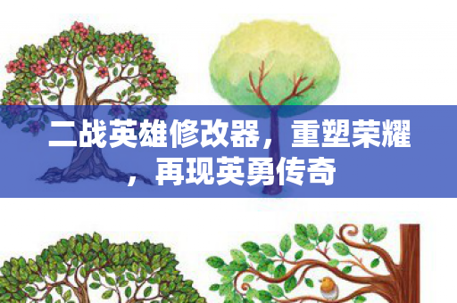 二战英雄修改器图片