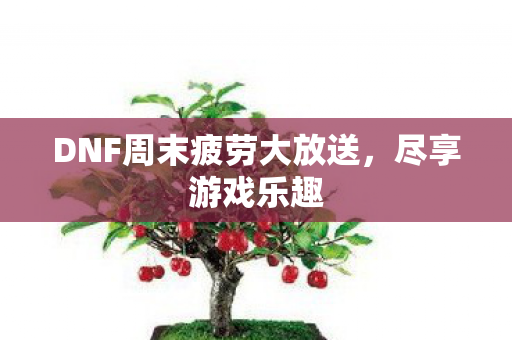 DNF周末疲劳大放送图片