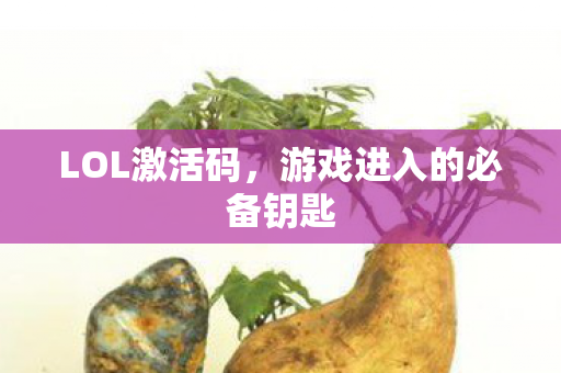 游戏进入的必备钥匙图片