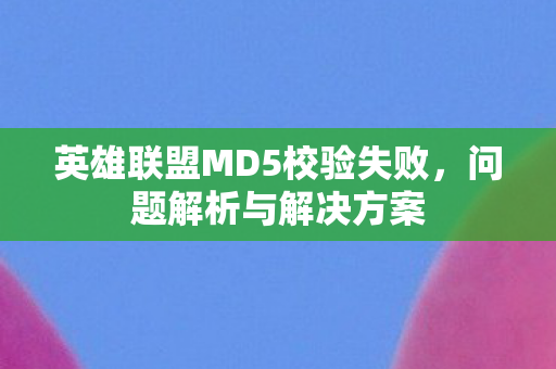 英雄联盟MD5校验失败图片