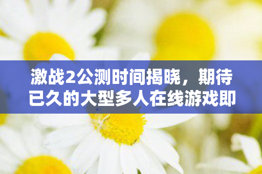 期待已久的大型多人在线游戏即将上线图片