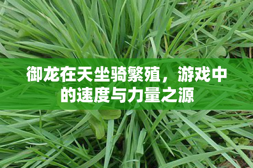 游戏中的速度与力量之源图片