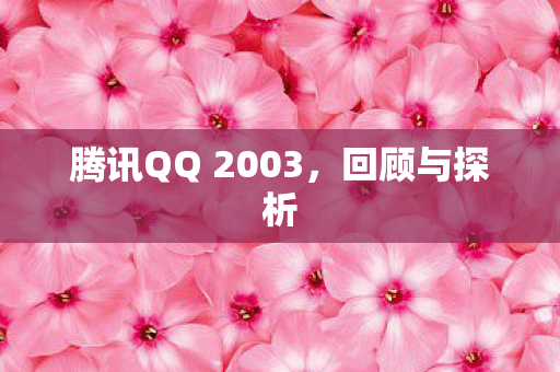 腾讯QQ 2003图片