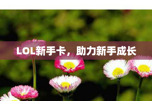 LOL新手卡图片