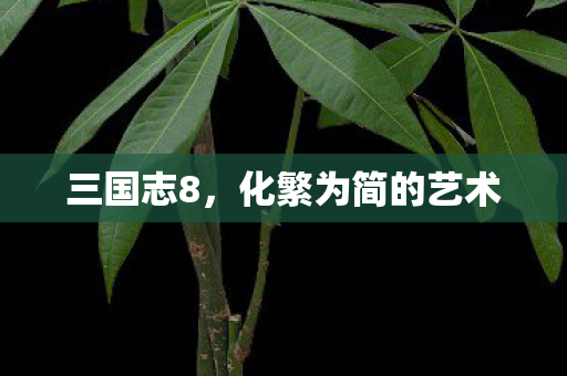 化繁为简的艺术图片