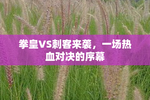 一场热血对决的序幕图片