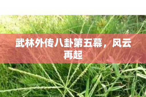武林外传八卦第五幕图片