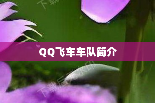 QQ飞车车队简介图片