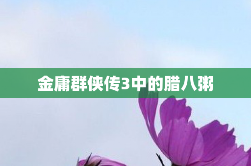 金庸群侠传3中的腊八粥图片