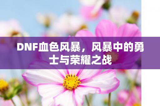风暴中的勇士与荣耀之战图片