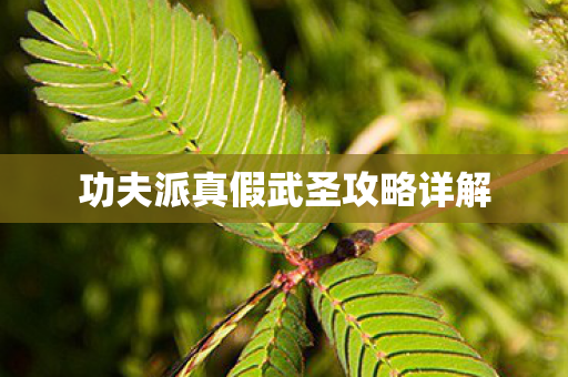 功夫派真假武圣攻略详解图片