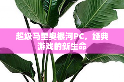 超级马里奥银河PC图片