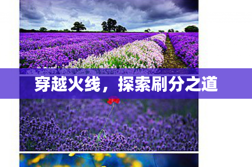 探索刷分之道图片