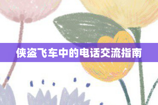 侠盗飞车中的电话交流指南图片