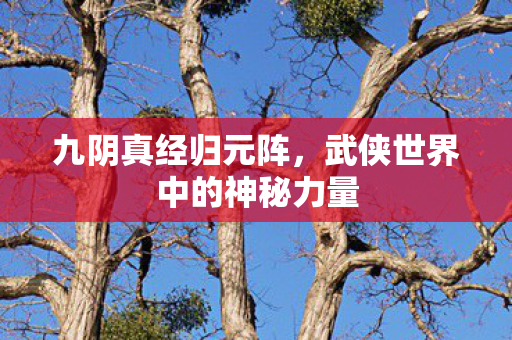 武侠世界中的神秘力量图片