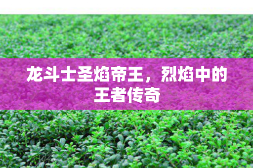 烈焰中的王者传奇图片