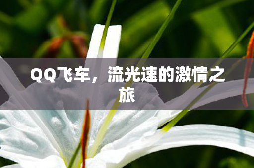 流光速的激情之旅图片