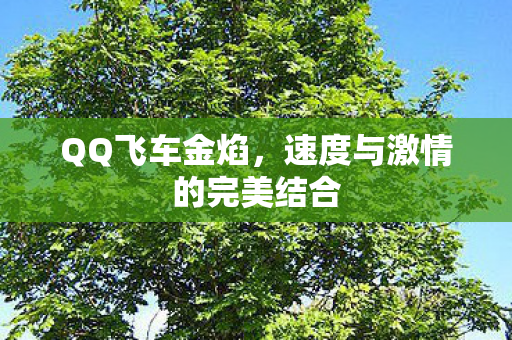 速度与激情的完美结合图片