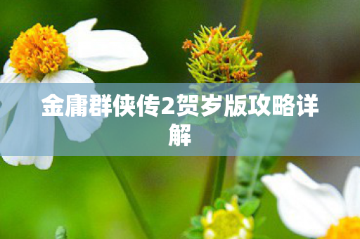 金庸群侠传2贺岁版攻略详解图片
