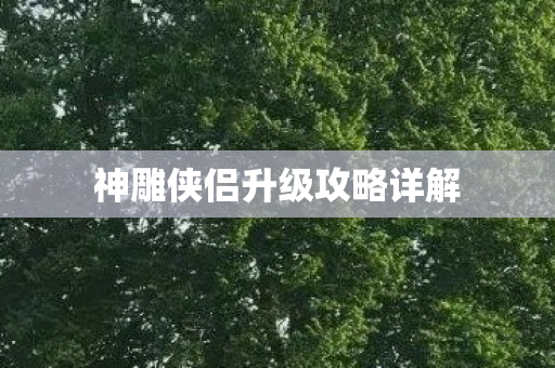 神雕侠侣升级攻略详解图片