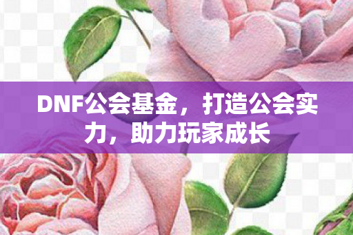DNF公会基金图片