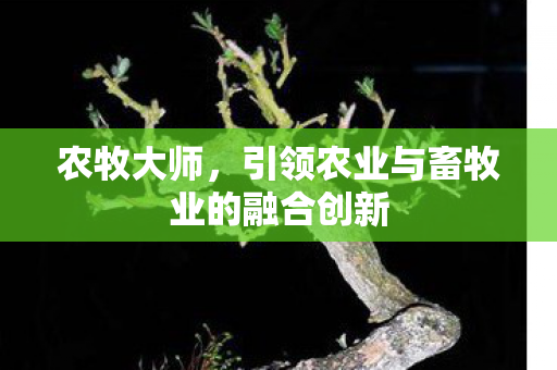 引领农业与畜牧业的融合创新图片
