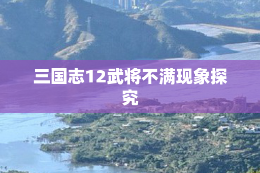 三国志12武将不满现象探究图片