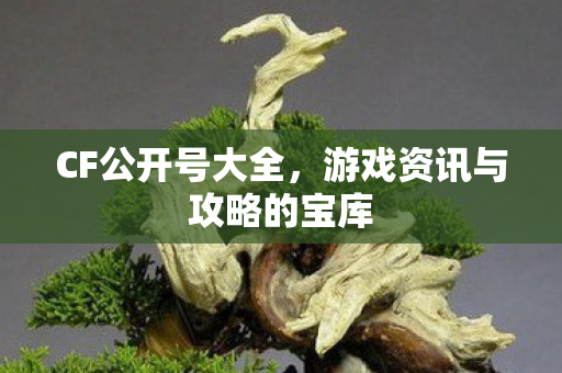 游戏资讯与攻略的宝库图片