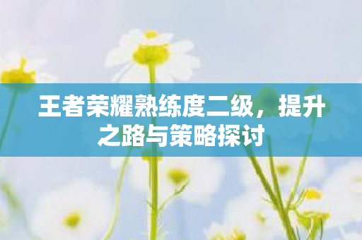 王者荣耀熟练度二级图片