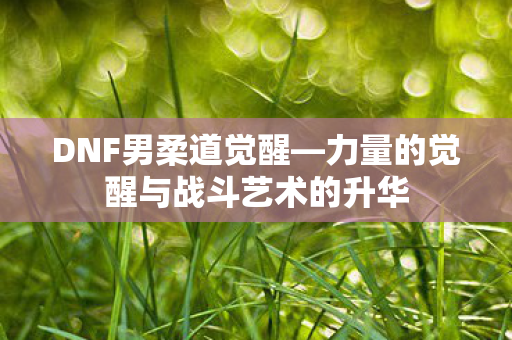 力量的觉醒与战斗艺术的升华图片