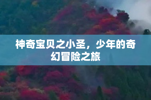 少年的奇幻冒险之旅图片
