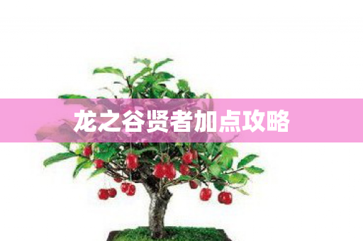龙之谷贤者加点攻略图片