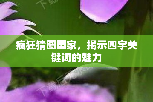 揭示四字关键词的魅力图片