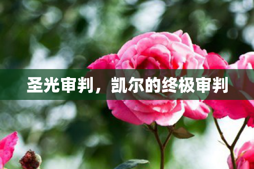 凯尔的终极审判图片