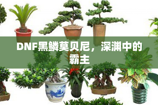 DNF黑鳞莫贝尼图片