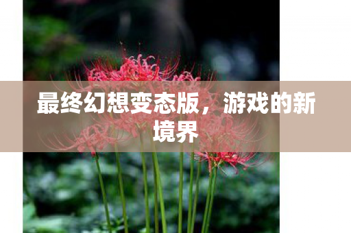 最终幻想变态版图片