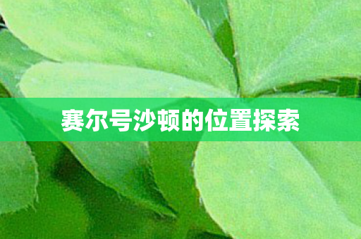 赛尔号沙顿的位置探索图片