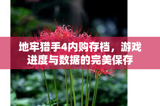 地牢猎手4内购存档,游戏进度与数据的完美保存 地牢猎手4内购存档,游戏进度与数据的完美保存