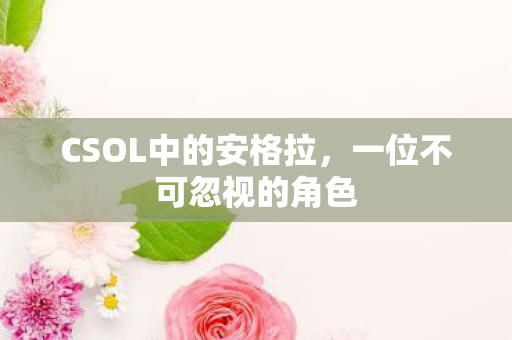CSOL中的安格拉,一位不可忽视的角色 CSOL中的安格拉,一位不可忽视的角色